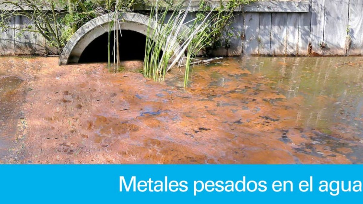 Metales pesados el agua, efectos en la salud eliminarlo Carbotecnia