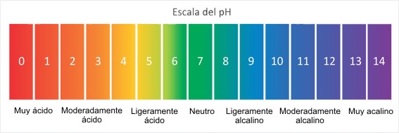 Lejos Racional Peave pH ¿Qué es y cómo afecta en el agua? purificación - Carbotecnia