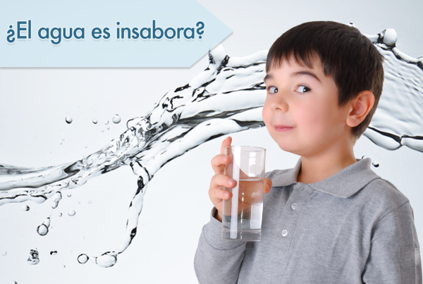 ¿El agua tiene sabor? ¿Qué factores influyen en que el agua tenga sabor?