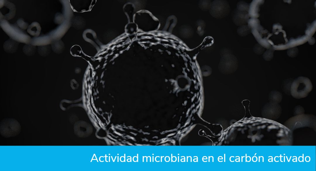 Actividad microbiana en el carbón activado bacterias y desinfección