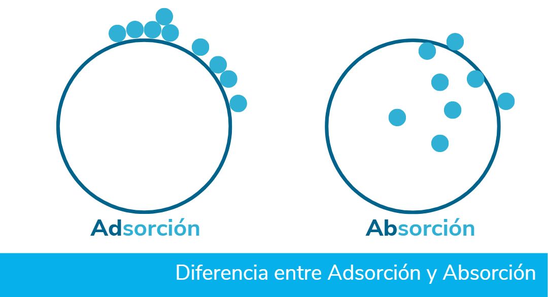 ¿Cuál es la diferencia entre absorción y adsorción?