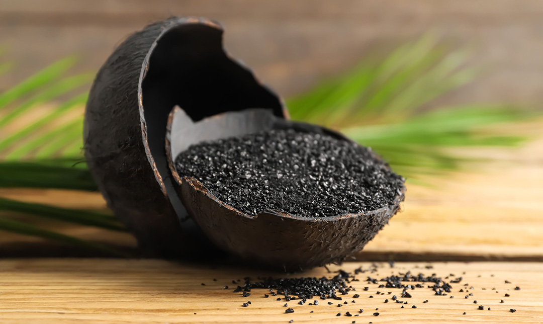 coconut shell activated carbon coconut shell activated carbon