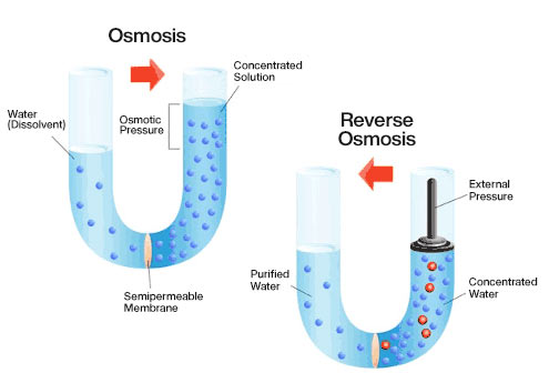 Osmosis and reverse osmosis process diagram