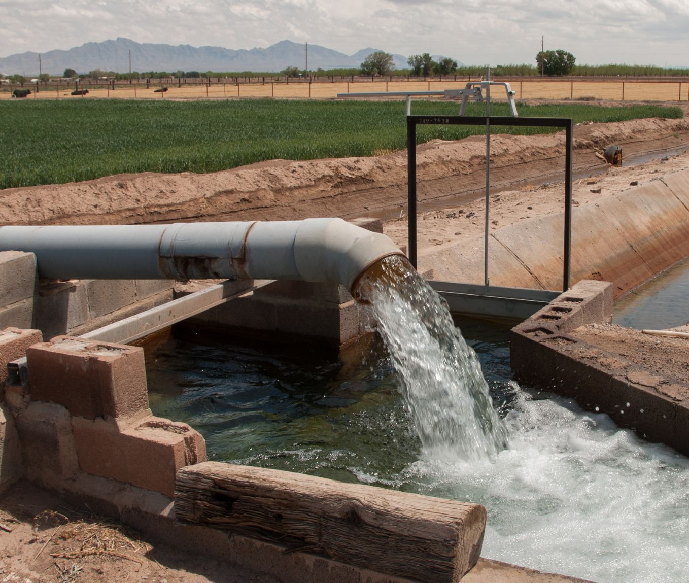 Cómo desinfectar y potabilizar agua de pozo | tratamiento y filtros