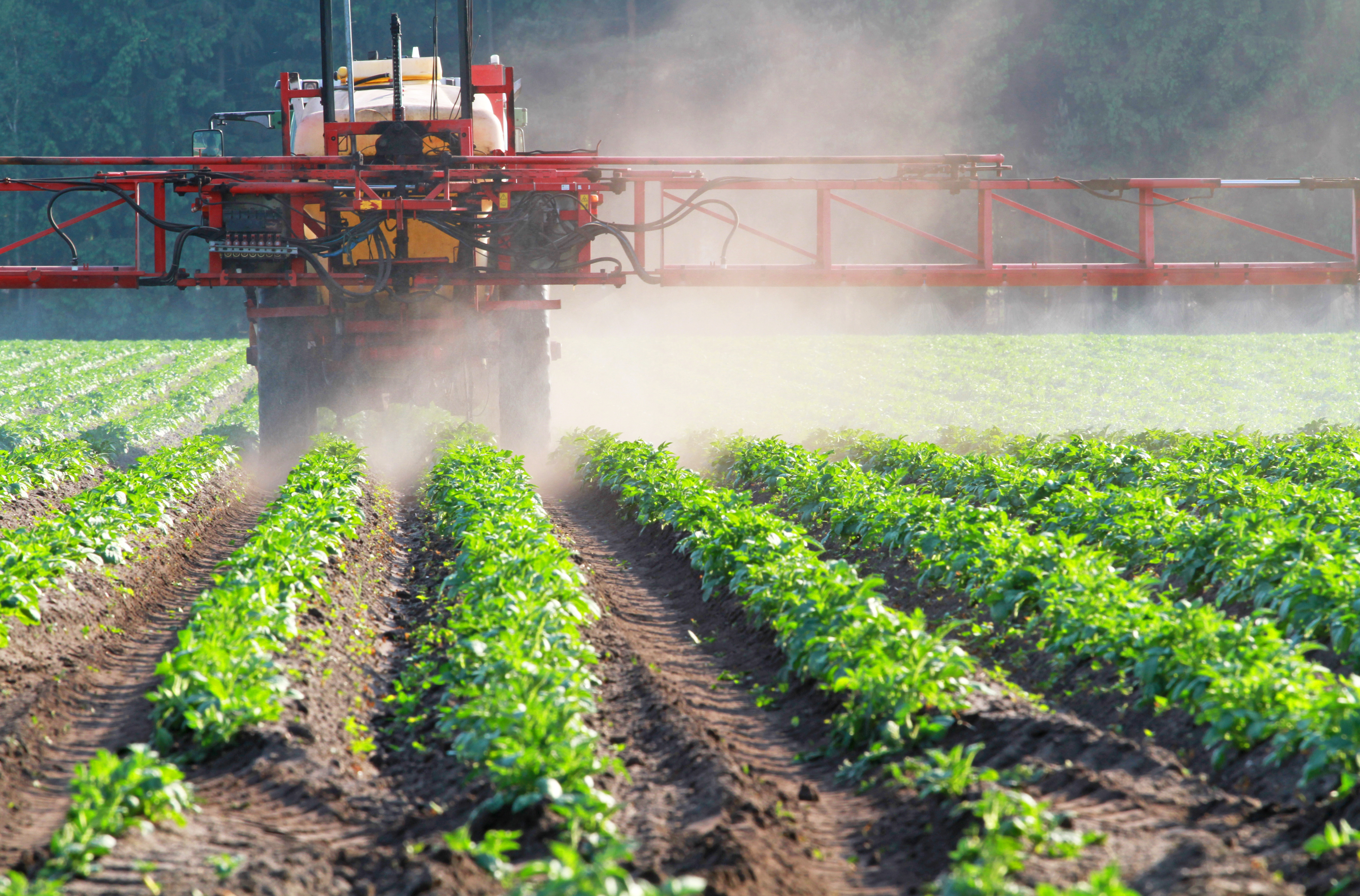 ¿Como los pesticidas y herbicidas contaminan el agua?