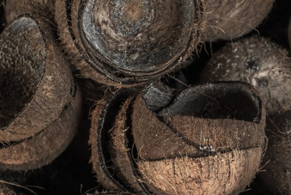carbón vegetal activado de concha de coco