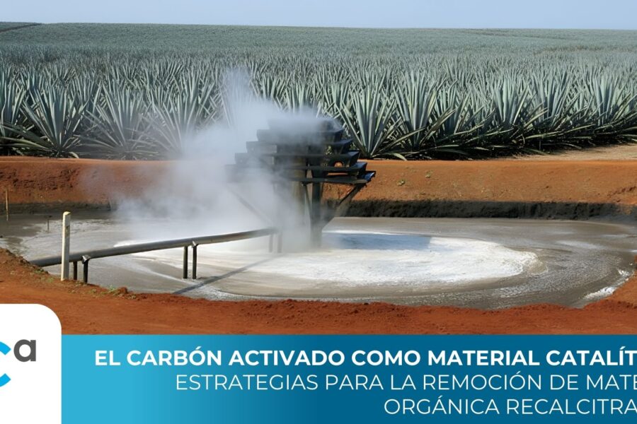 Activated Carbon as an Oxidizing Catalyst