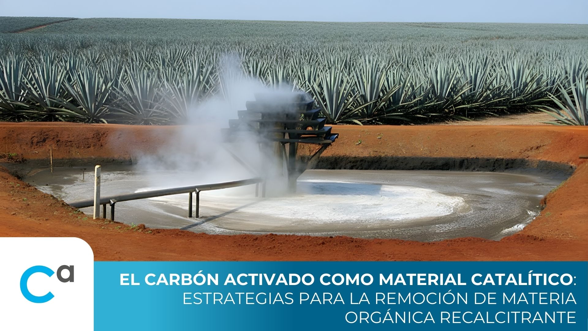 El carbón activado como catalizador oxidante